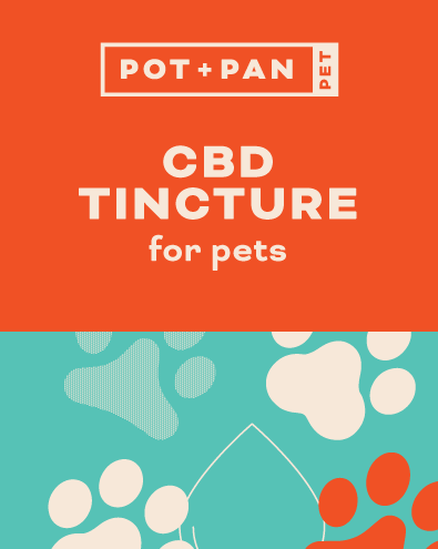 cbd pet tincture