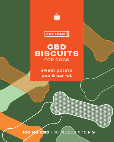 cbd dog treats