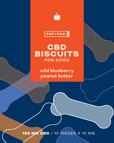cbd dog treats